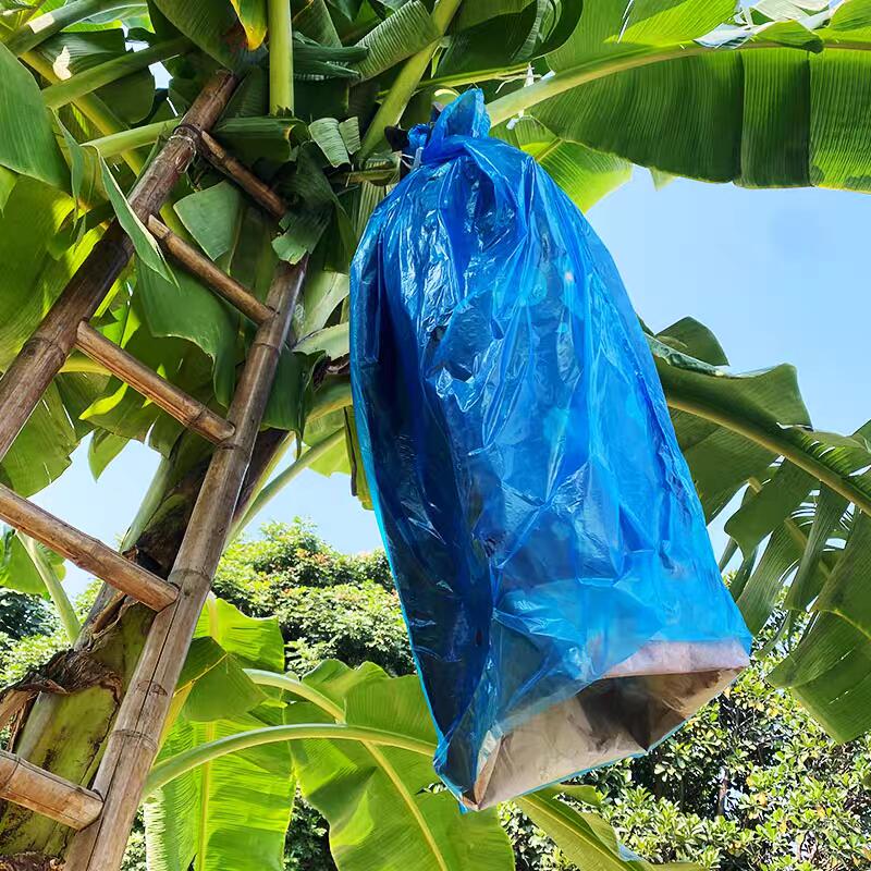 Mála Corpoideachais Gorm Plaisteach Séala Teasa Do Chlúdaigh Banana 20-200miocrón